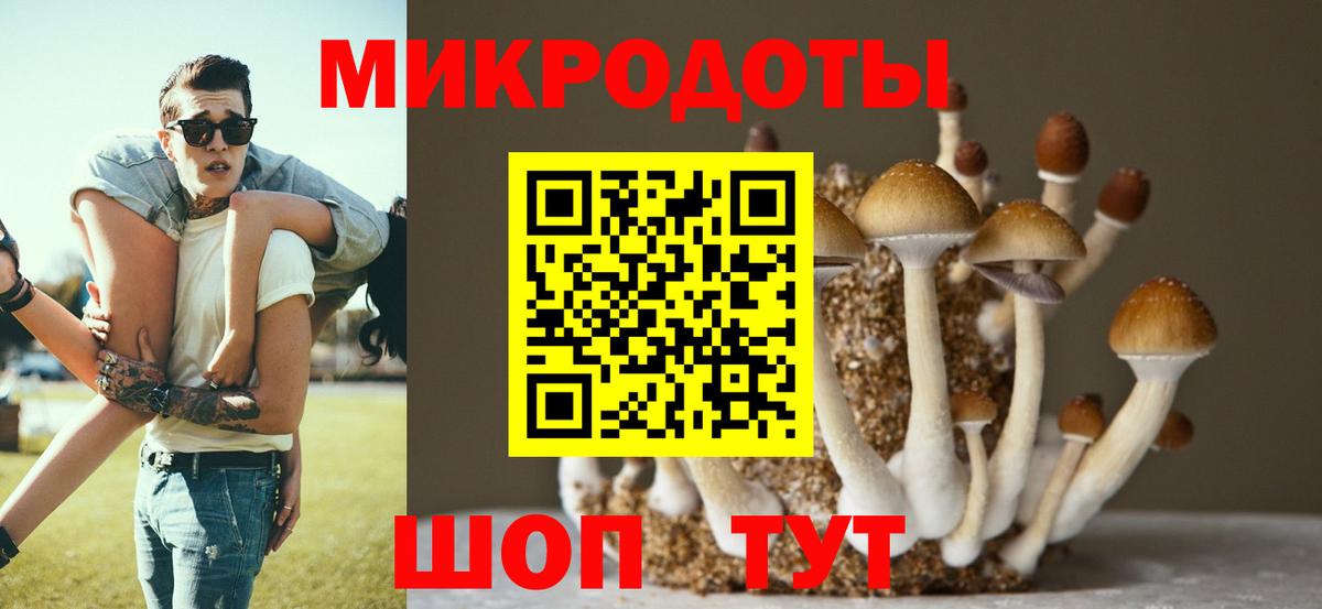 Галлюциногенные грибы Psilocybe Ульяновск